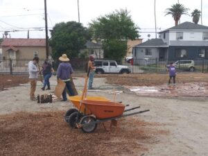 Volunteers Laying Mulch